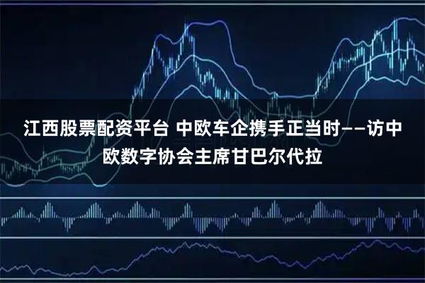 江西股票配资平台 中欧车企携手正当时——访中欧数字协会主席甘巴尔代拉