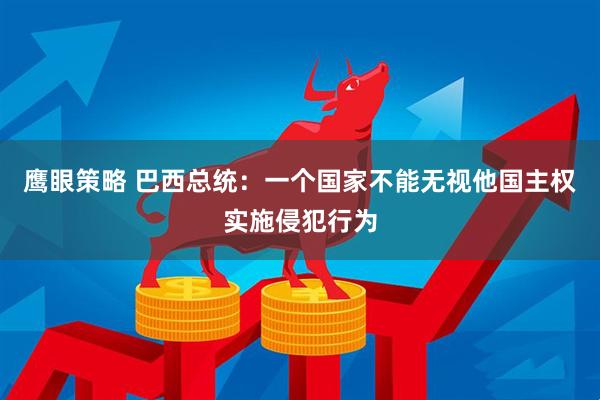 鹰眼策略 巴西总统：一个国家不能无视他国主权实施侵犯行为