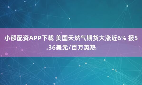 小额配资APP下载 美国天然气期货大涨近6% 报5.36美元/百万英热