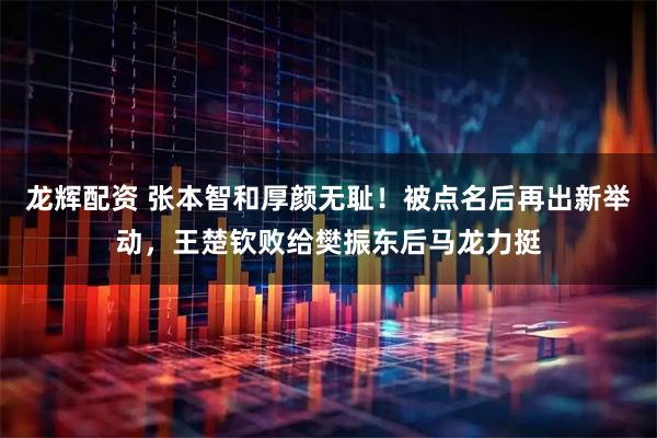 龙辉配资 张本智和厚颜无耻！被点名后再出新举动，王楚钦败给樊振东后马龙力挺