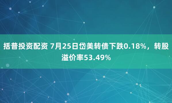 括普投资配资 7月25日岱美转债下跌0.18%，转股溢价率53.49%