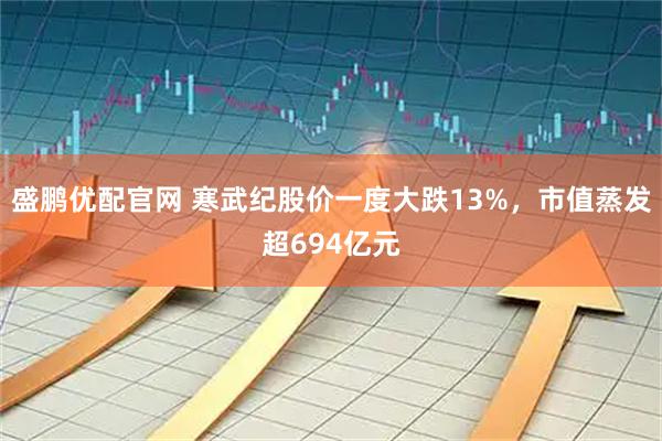 盛鹏优配官网 寒武纪股价一度大跌13%，市值蒸发超694亿元